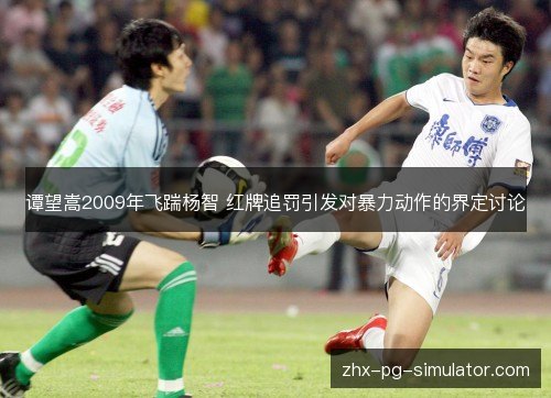 谭望嵩2009年飞踹杨智 红牌追罚引发对暴力动作的界定讨论 谭望嵩2009年飞踹杨智 红牌追罚引发对暴力动作的界定讨论